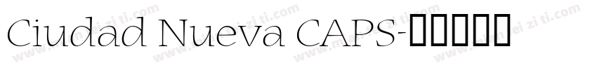 Ciudad Nueva CAPS字体转换